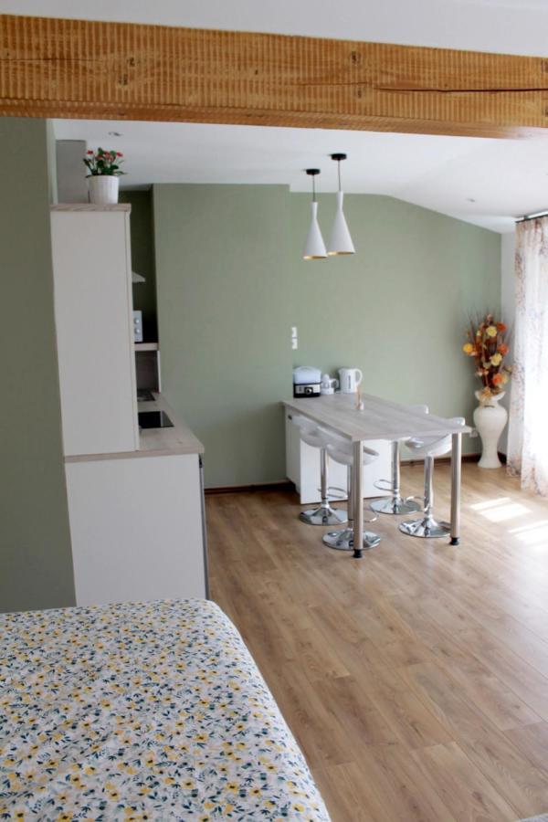 Saint Etienne : appartement Châteaucreux 40 M2 Saint-Etienne (Loire) Exterior foto